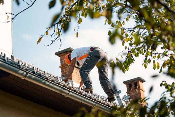 Quick and Trustworthy Emergency Roof Repair Services in Steele, AL