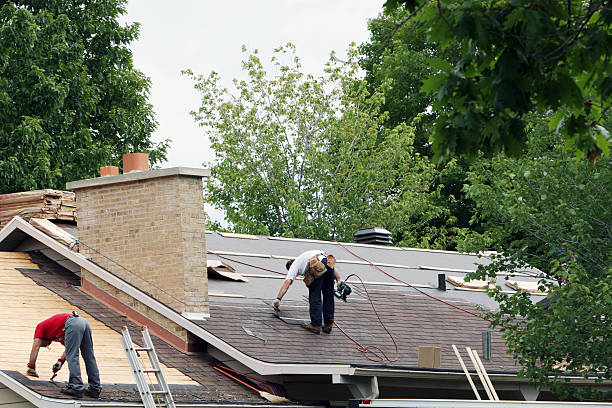 Best Roof Waterproofing Services  in Steele, AL