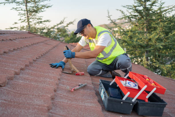 Best Roof Leak Repair  in Steele, AL