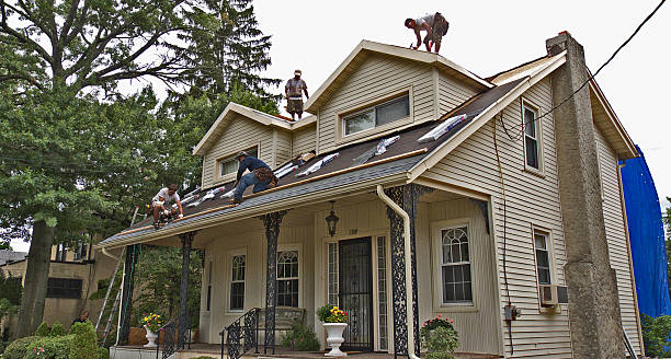 Professional Roofing Contractor in Steele, AL
