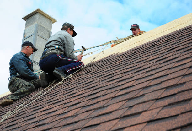 Best Roof Maintenance Services  in Steele, AL