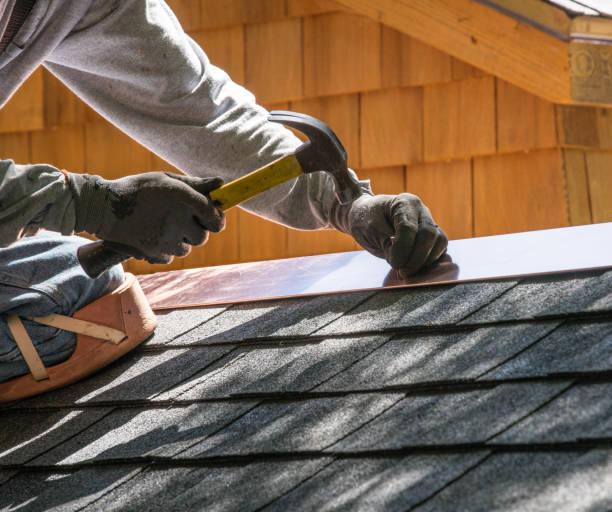 Best Local Roofing Companies  in Steele, AL